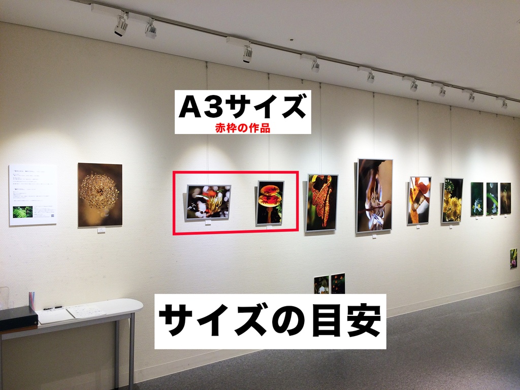 「秋の受け皿 Autumn saucer」 アルミフレーム A3 (420X297mm) 2017年作成