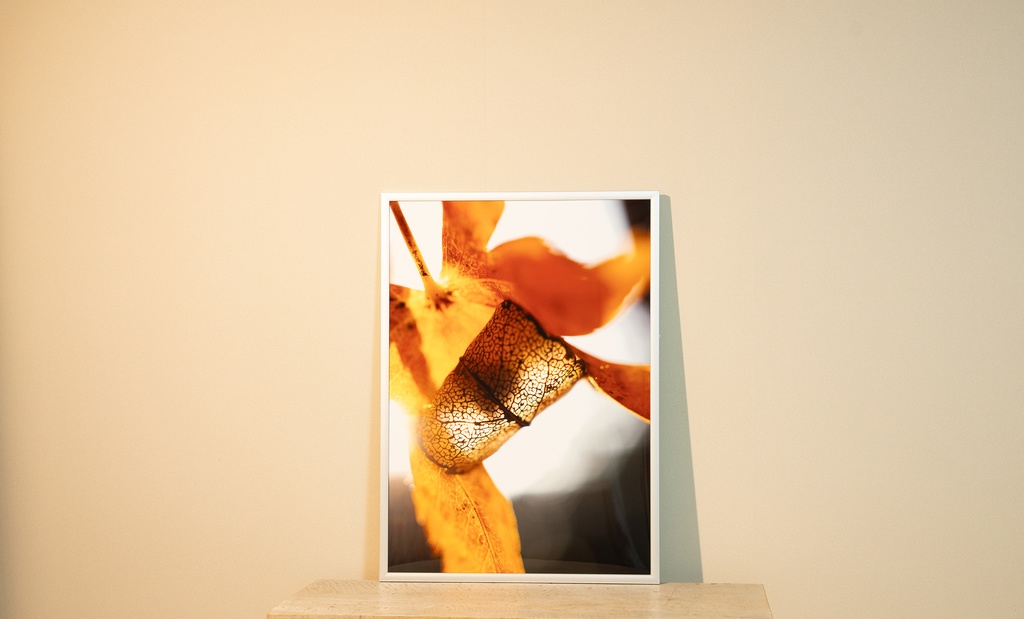 「レースの籠 lace basket」アルミフレーム A3 (420X297mm) 2017年作成