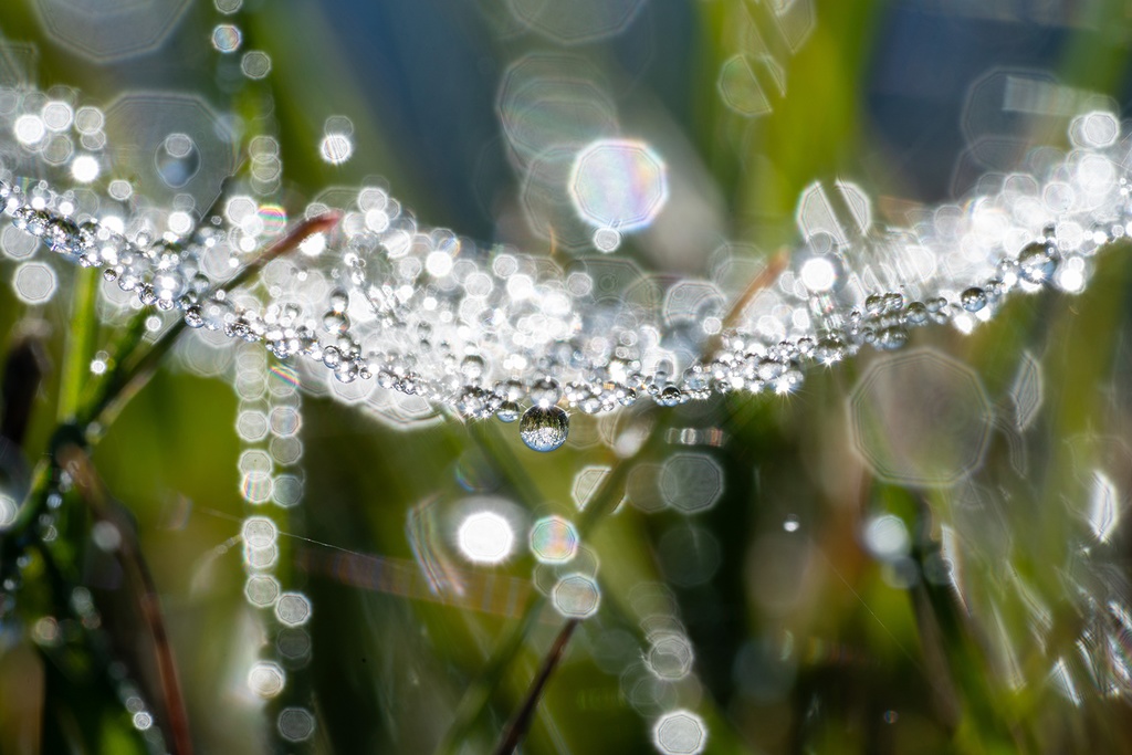 オーダーメイド 木製パネル A2サイズ (594X420mm)