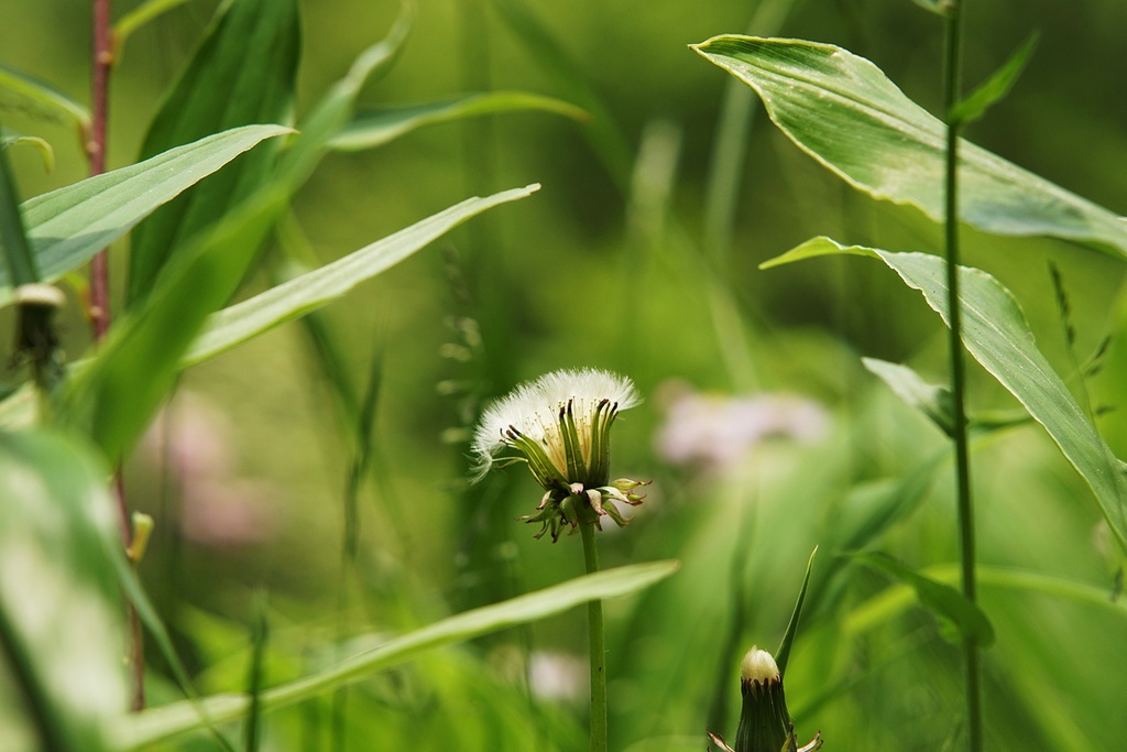 オーダーメイド 木製パネル A1サイズ (841X594mm)