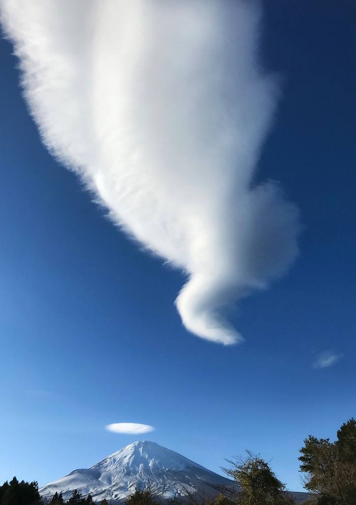 「ヴォルテックス　Vortex」ドライマウント　A1 (594×841mm )　2022年作成