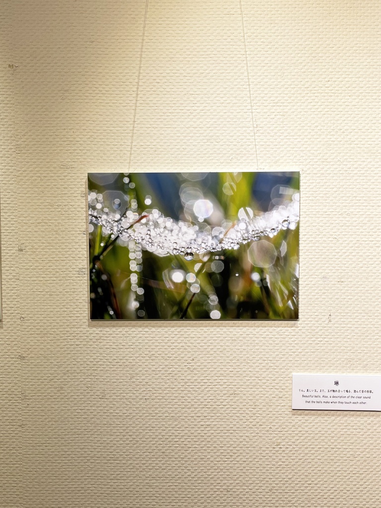 「琳 Rin」 ドライマウントパネル A3 (297×420mm ) 2024年作成