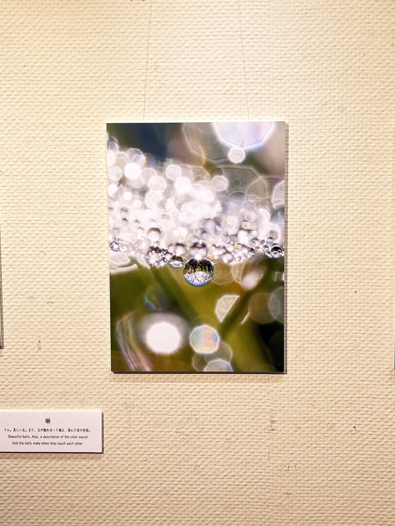 「琳 Rin」 ドライマウントパネル A3 (297×420mm ) 2024年作成