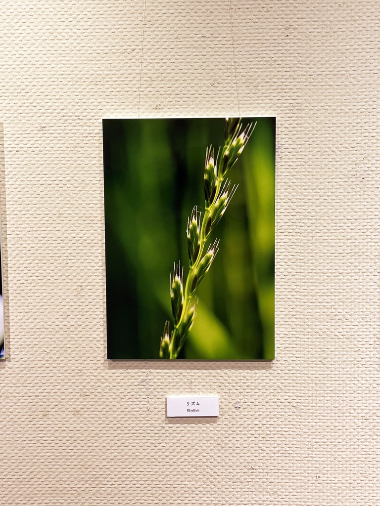 「リズム Rhythm」ドライマウント A3 (297×420mm ) 2024年作成