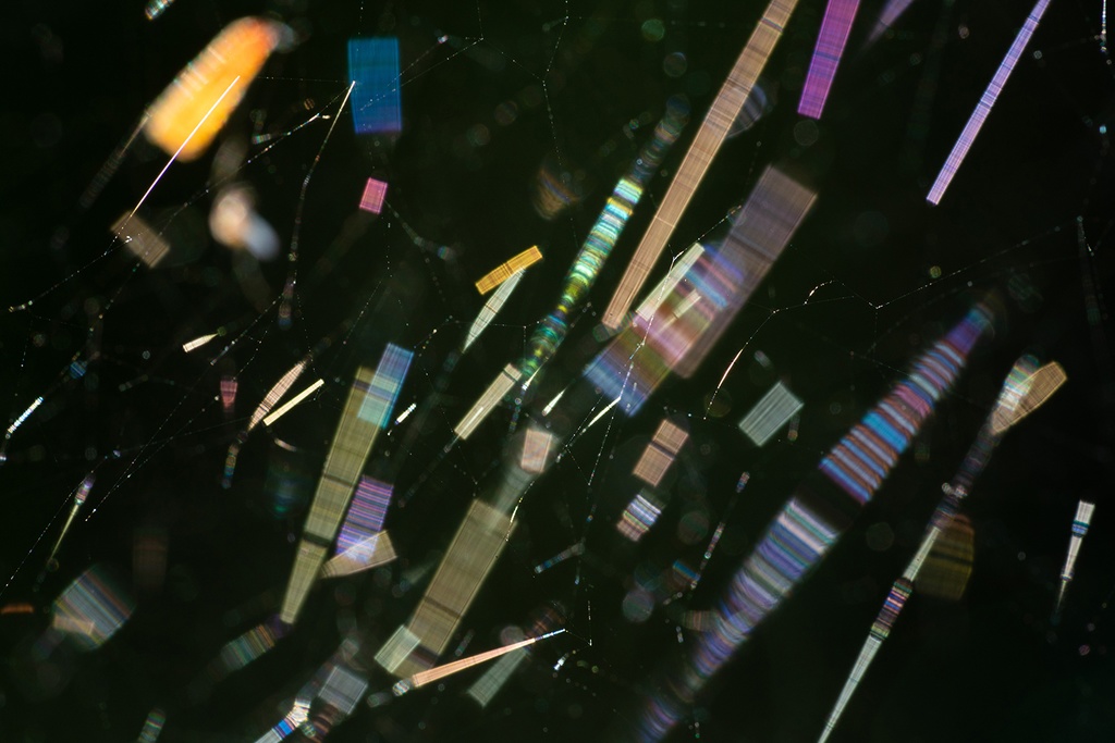 「虹の雨　Rainbow Rain」ドライマウント　 A3 (297×420mm ) 2024年作成