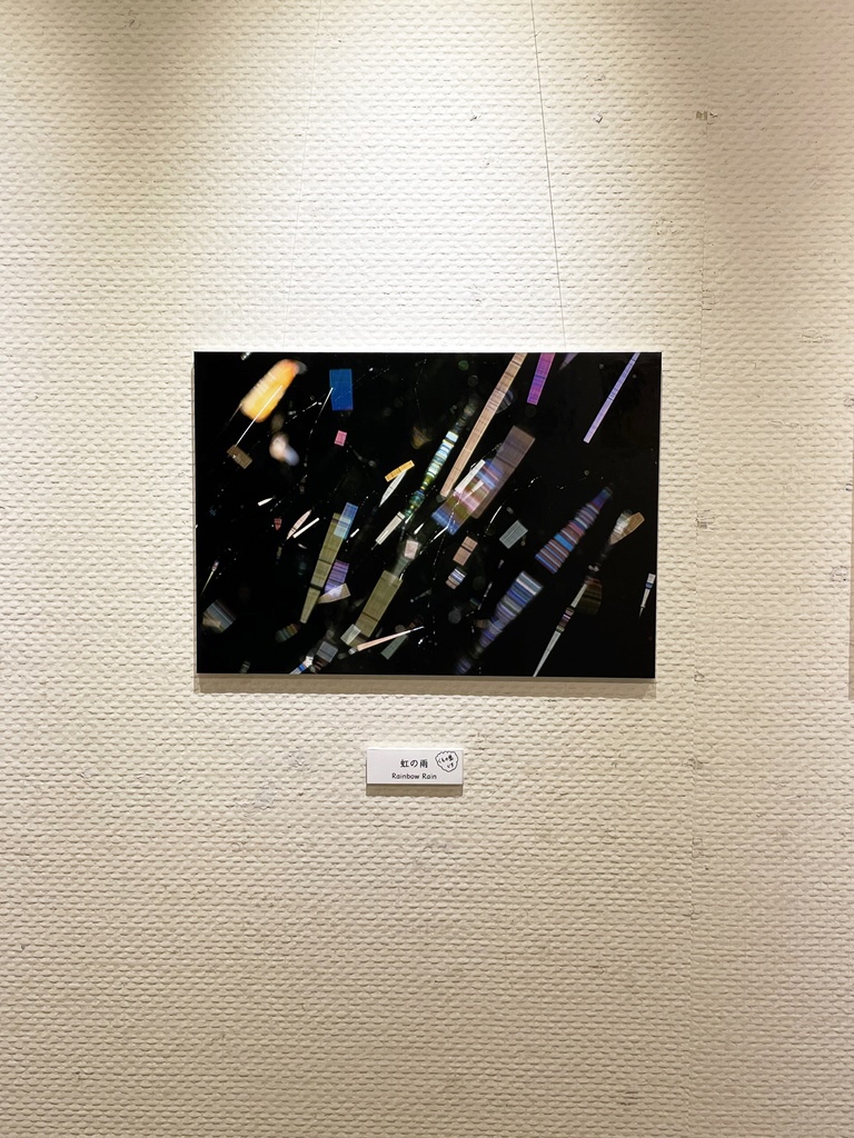 「虹の雨 Rainbow Rain」ドライマウント A3 (297×420mm ) 2024年作成