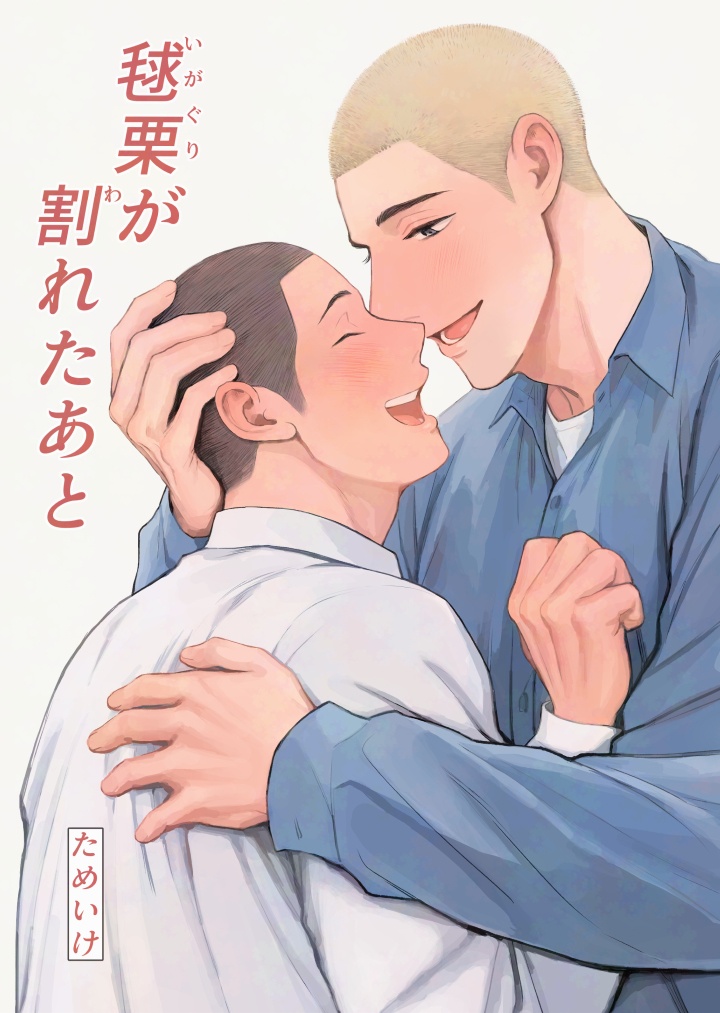 【データ版】『毬栗が割れたあと』【完全版】