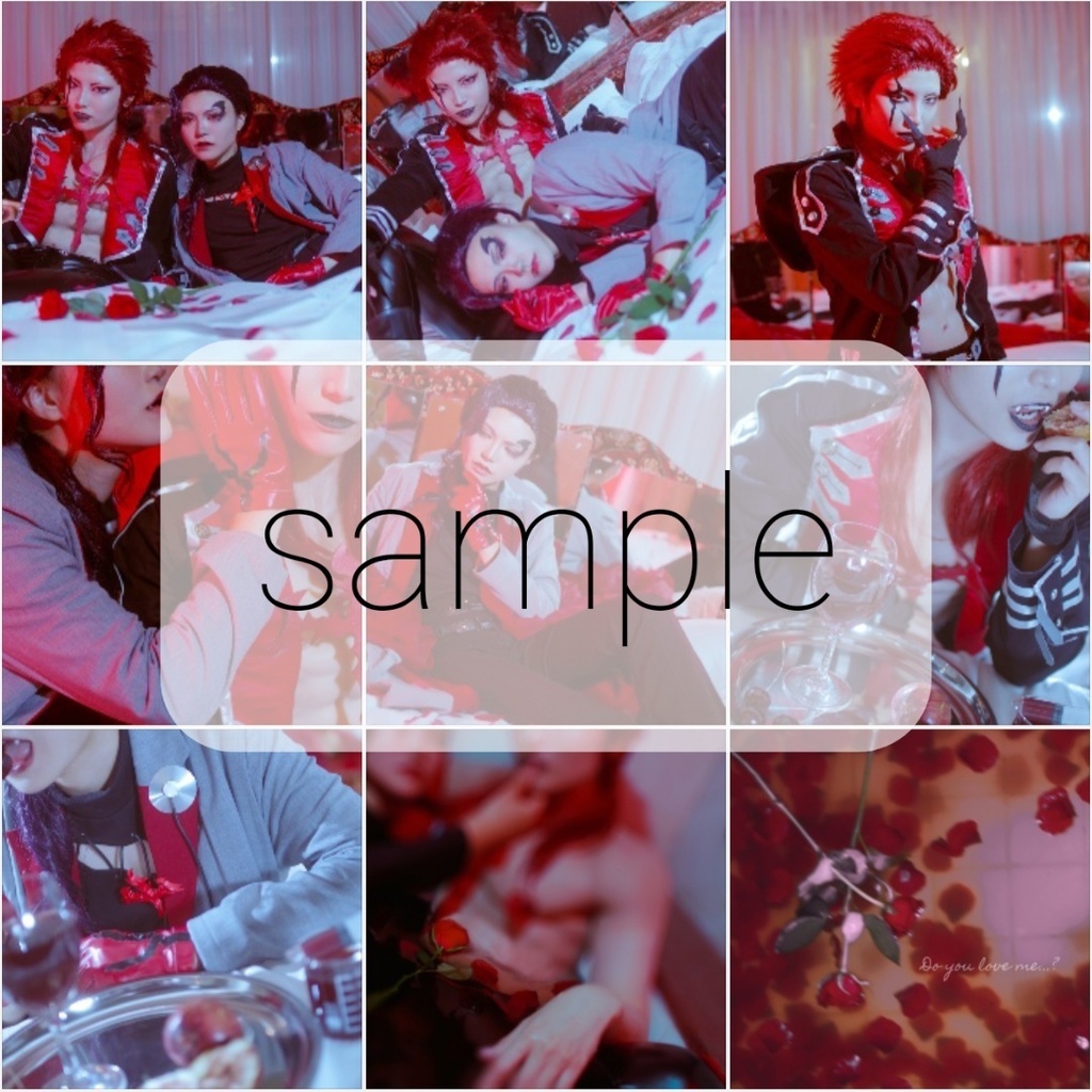 【ROM付】深紅の心臓