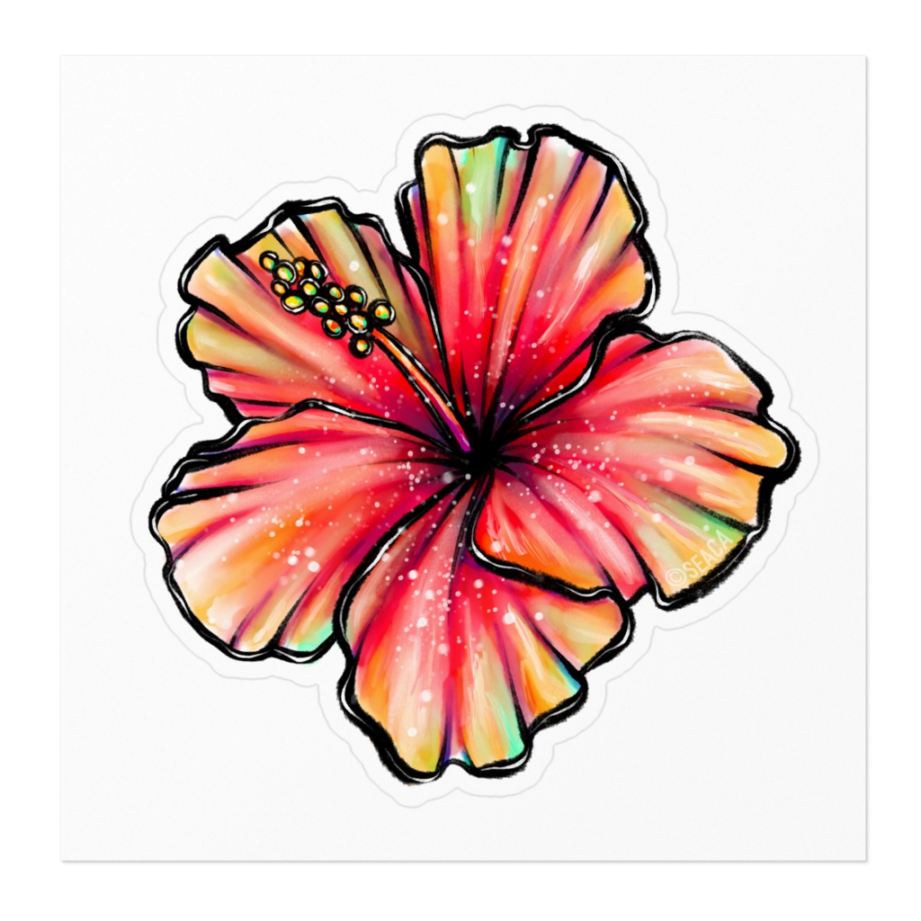 hibiscus