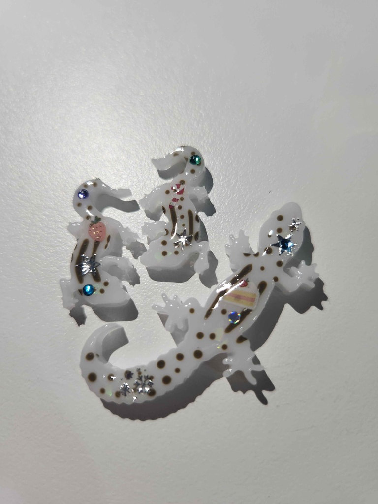 【販売終了】クリスマス仕様/期間限定ランダムセット