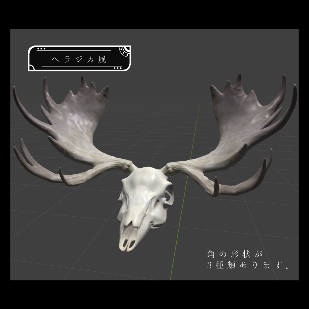 【3Dモデル】動物の頭蓋骨