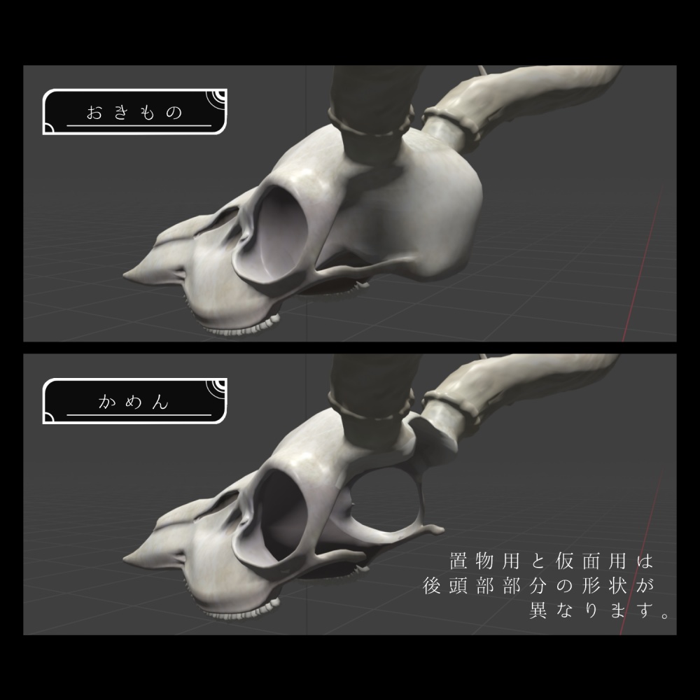 【3Dモデル】動物の頭蓋骨
