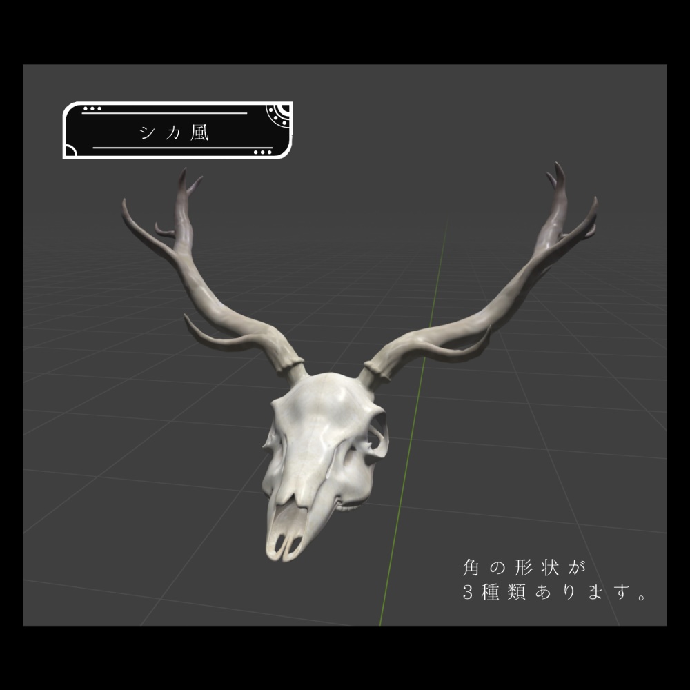 【3Dモデル】動物の頭蓋骨