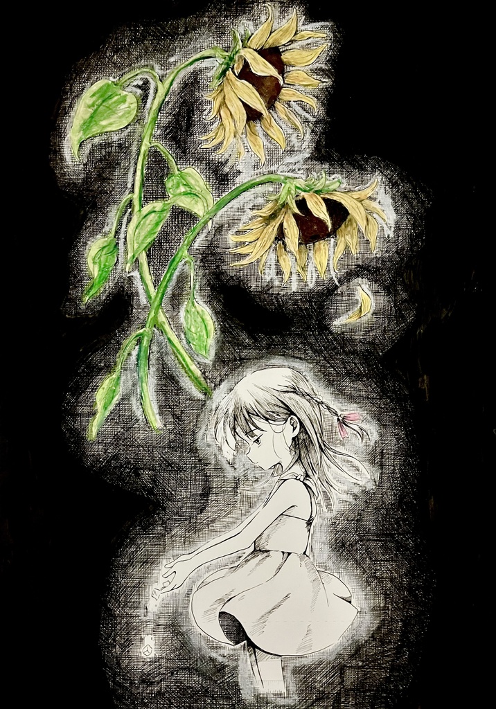 ひまわり