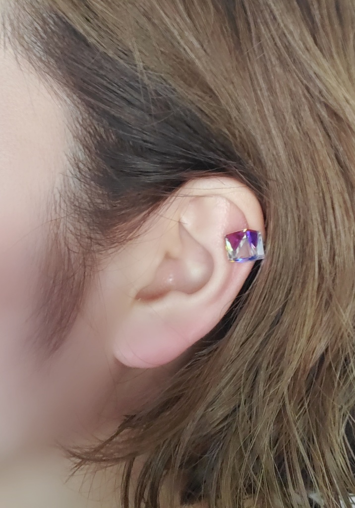 にっぴきイメージイヤリング&ピアス