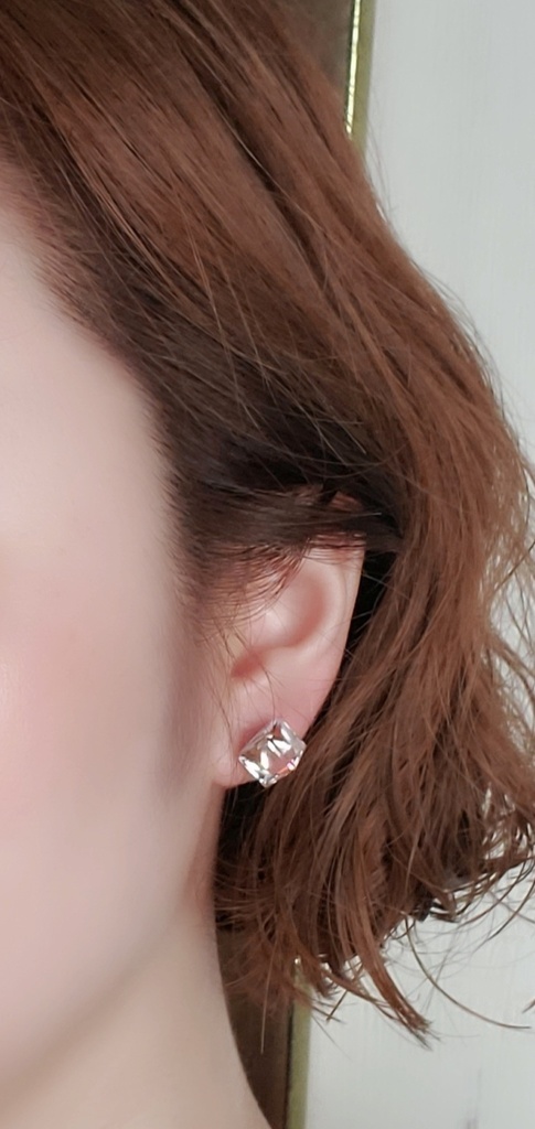 にっぴきイメージイヤリング&ピアス