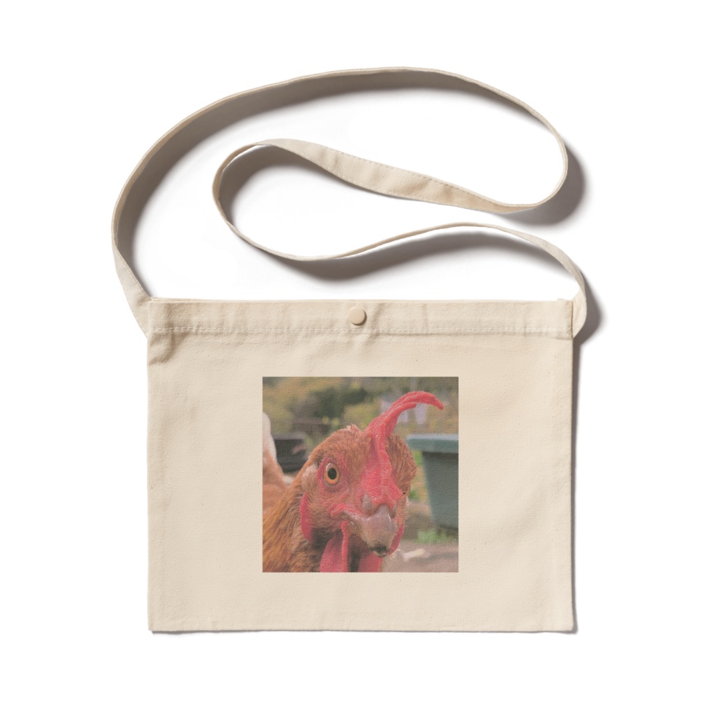 鶏と目が合うサコッシュ