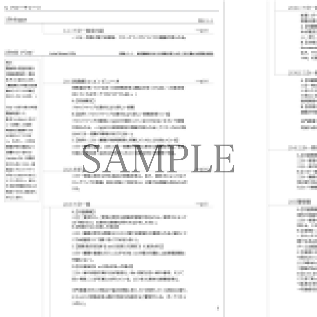 白影少女 -Radio Girl- 正式版