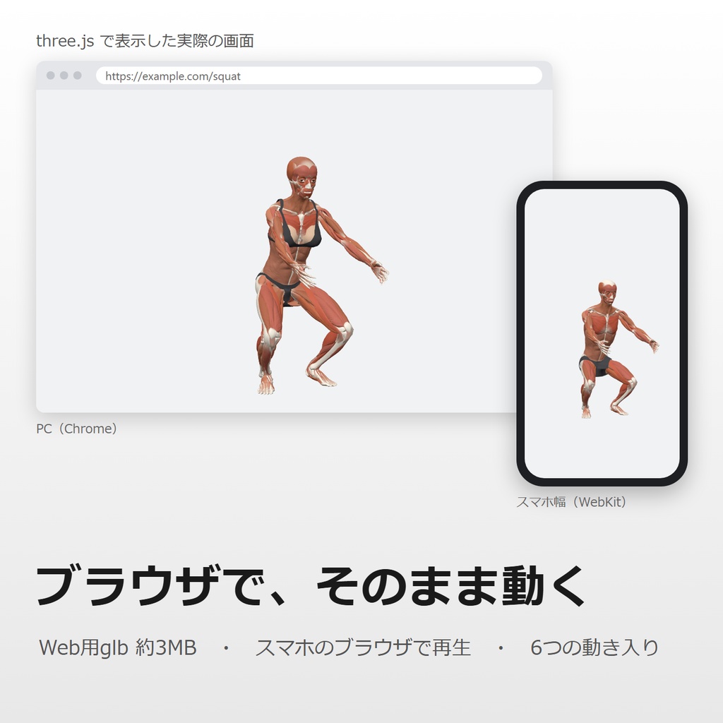 筋肉解剖ボディ 男女セット リグ・モーション付き|筋トレ解説・教材に/ブラウザで動く約3MBのglb同梱 / blend・fbx・glb