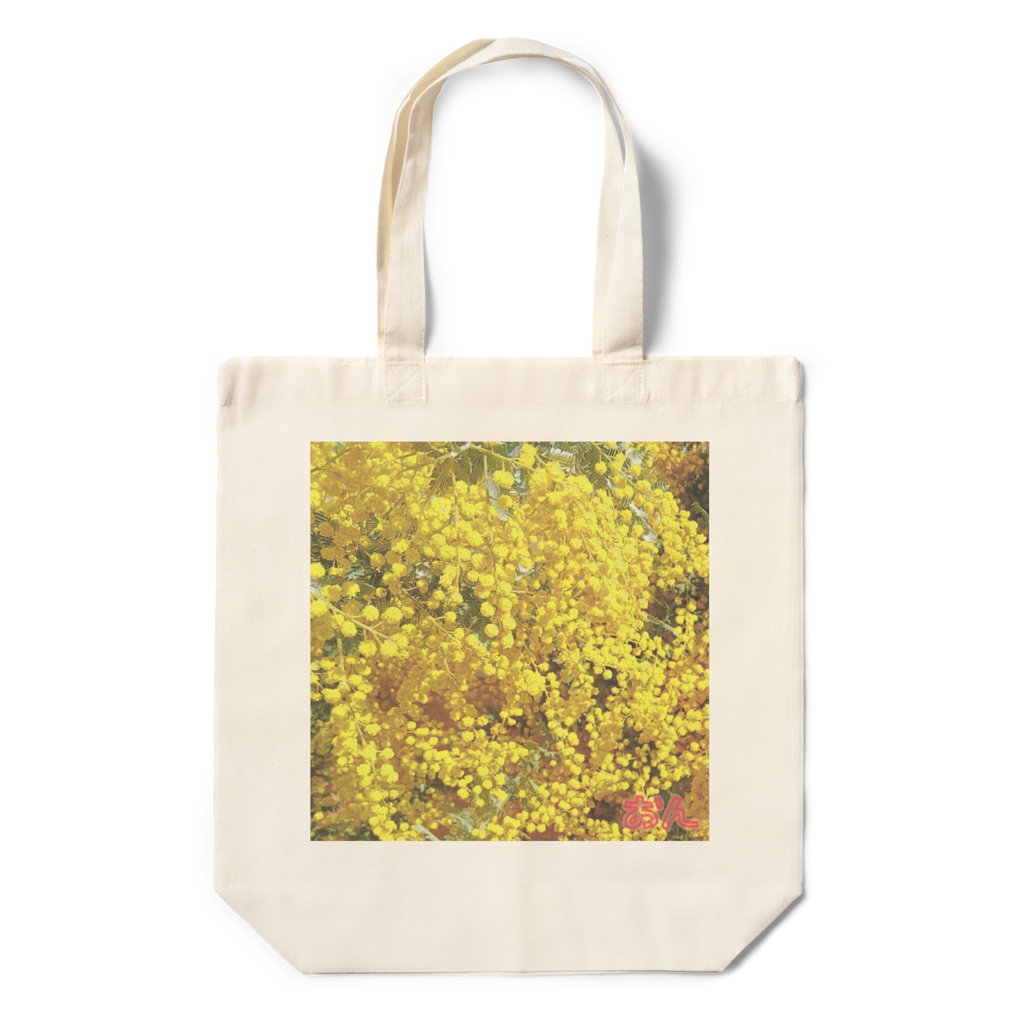 Mimosa