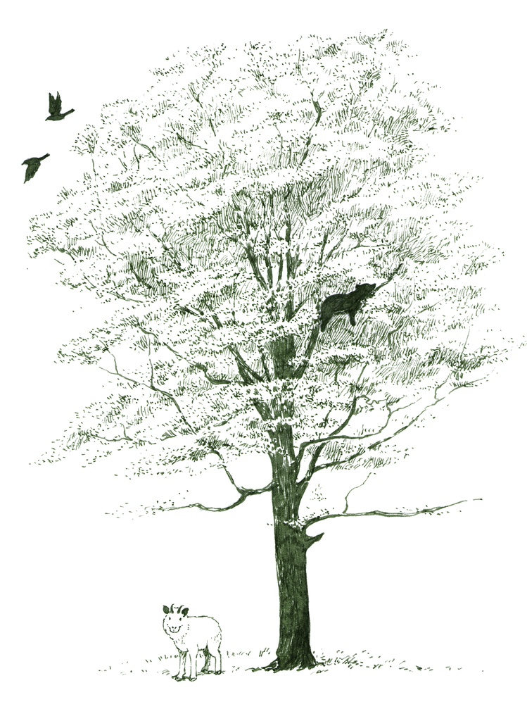 ブナと動物たちエコバッグ