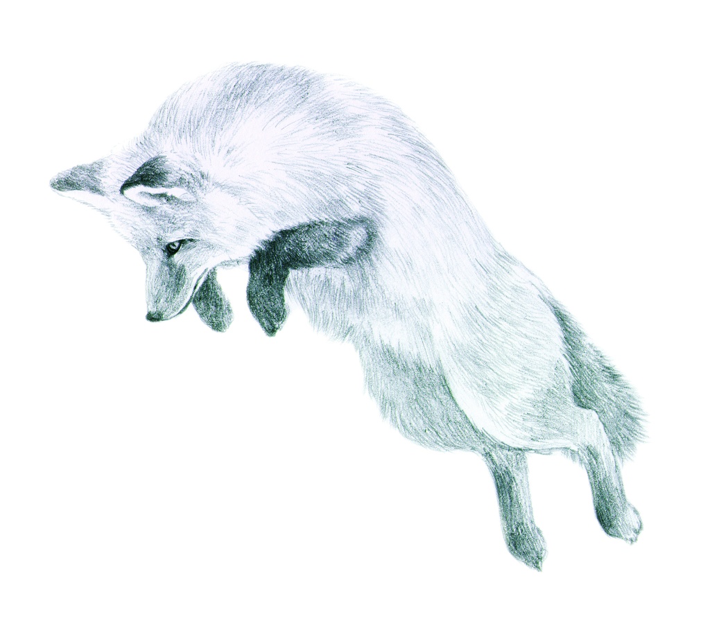 飛ぶきつねエコバッグ