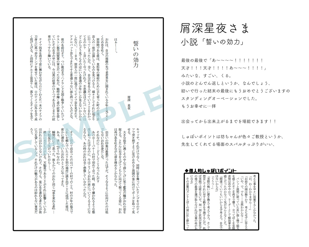 幻想水滸伝Ⅱ21周年記念主坊アンソロジー『beginning!』