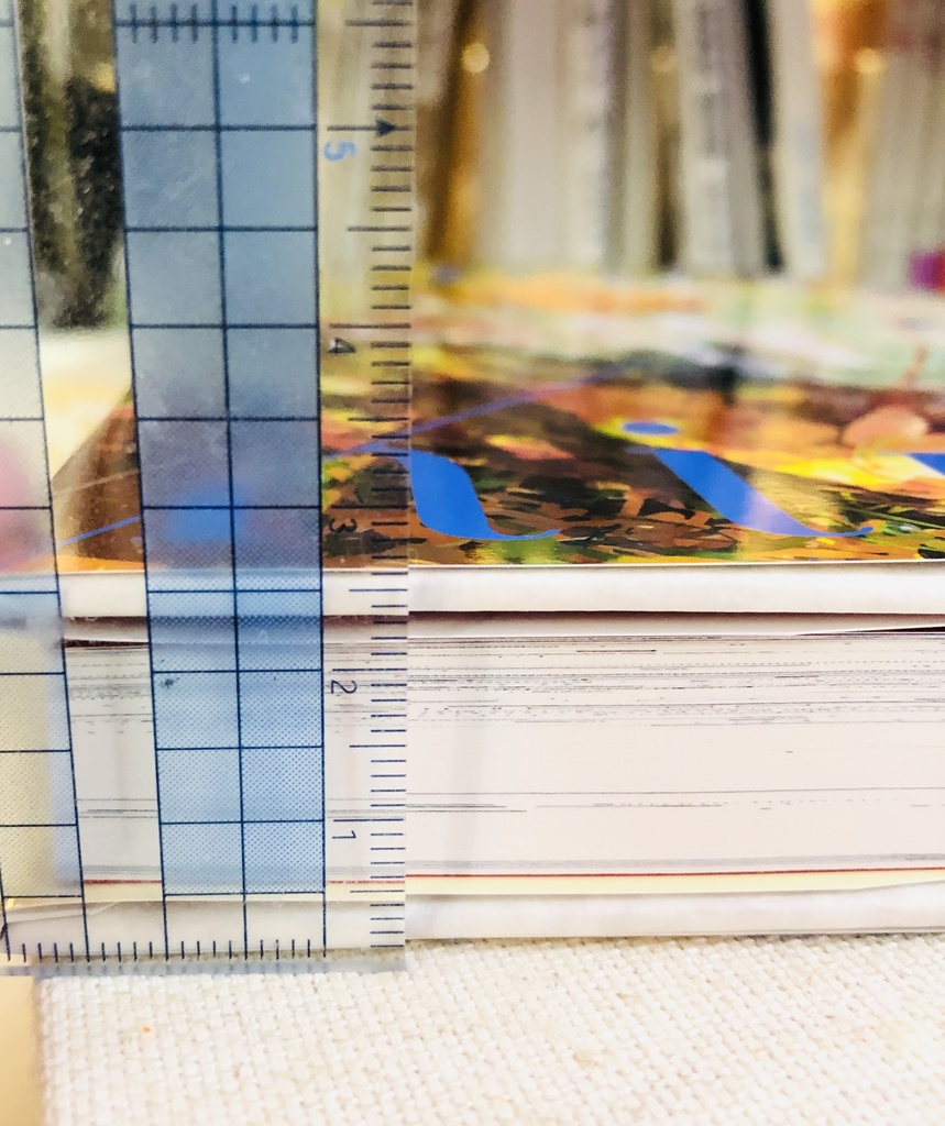 幻想水滸伝Ⅱ21周年記念主坊アンソロジー『beginning!』