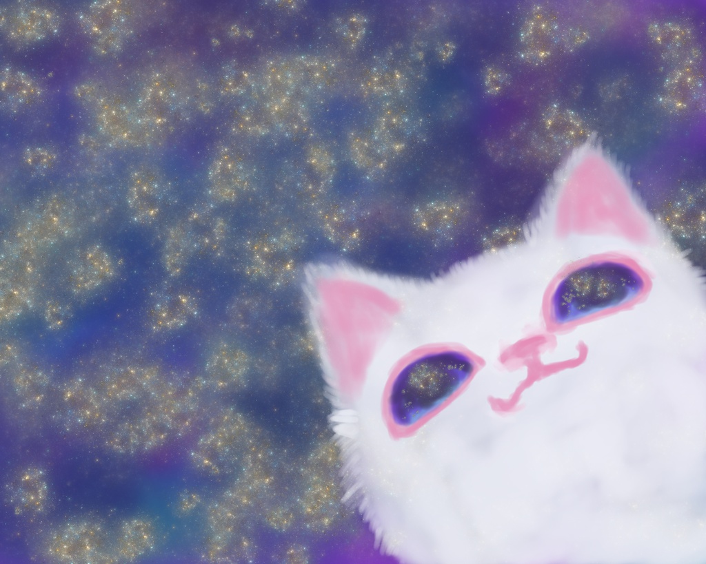 星空と猫ポーチ。