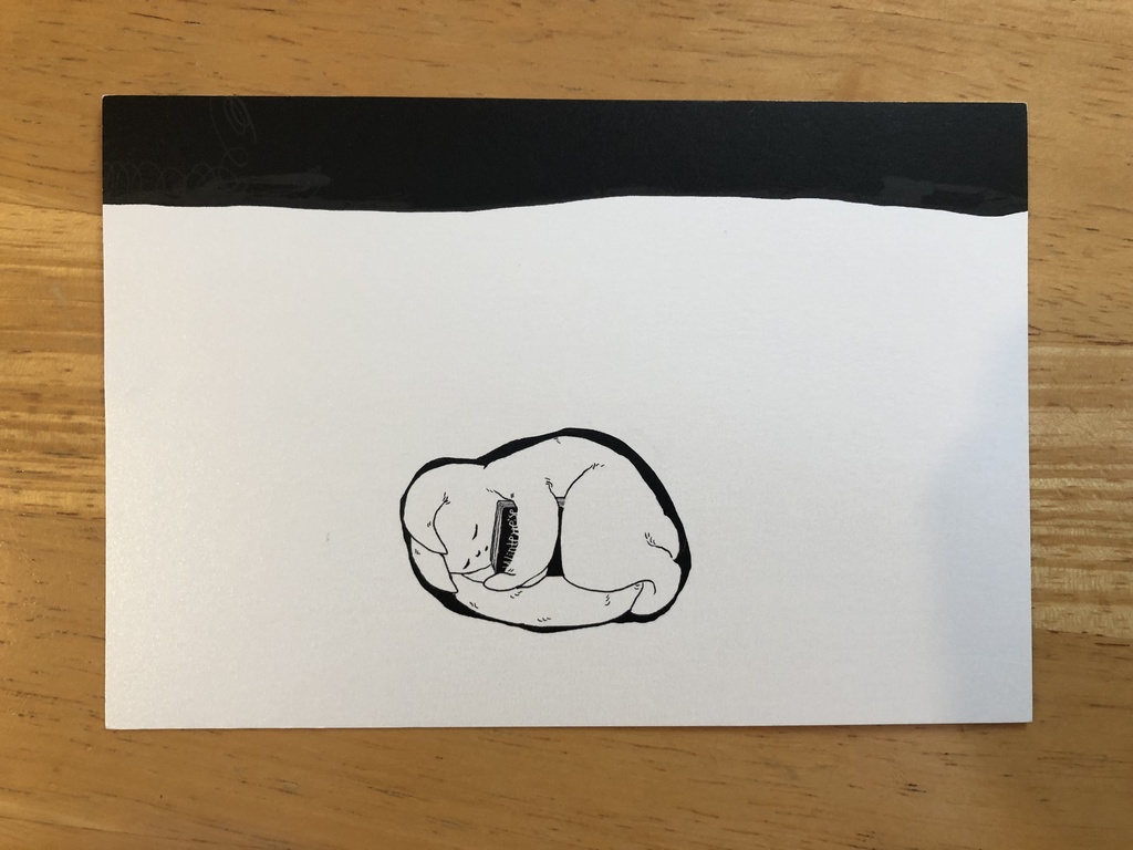 「Reading Cat」ポストカード