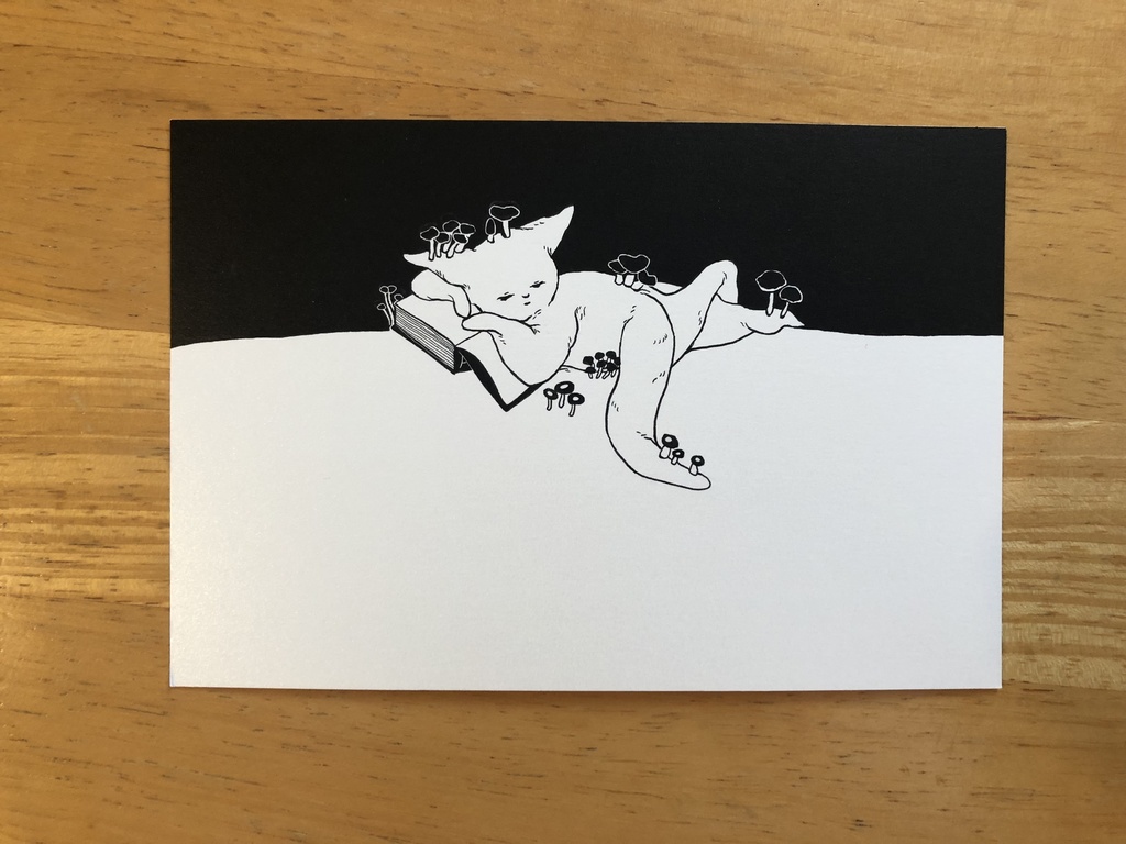 「Reading Cat」ポストカード
