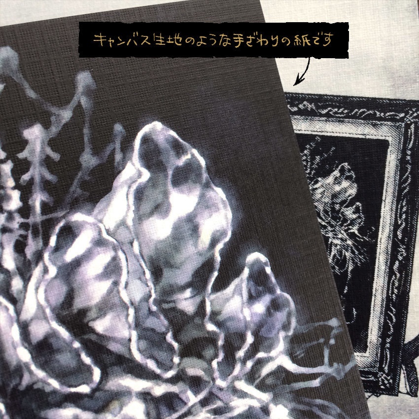 特殊紙ポストカード《No.07》