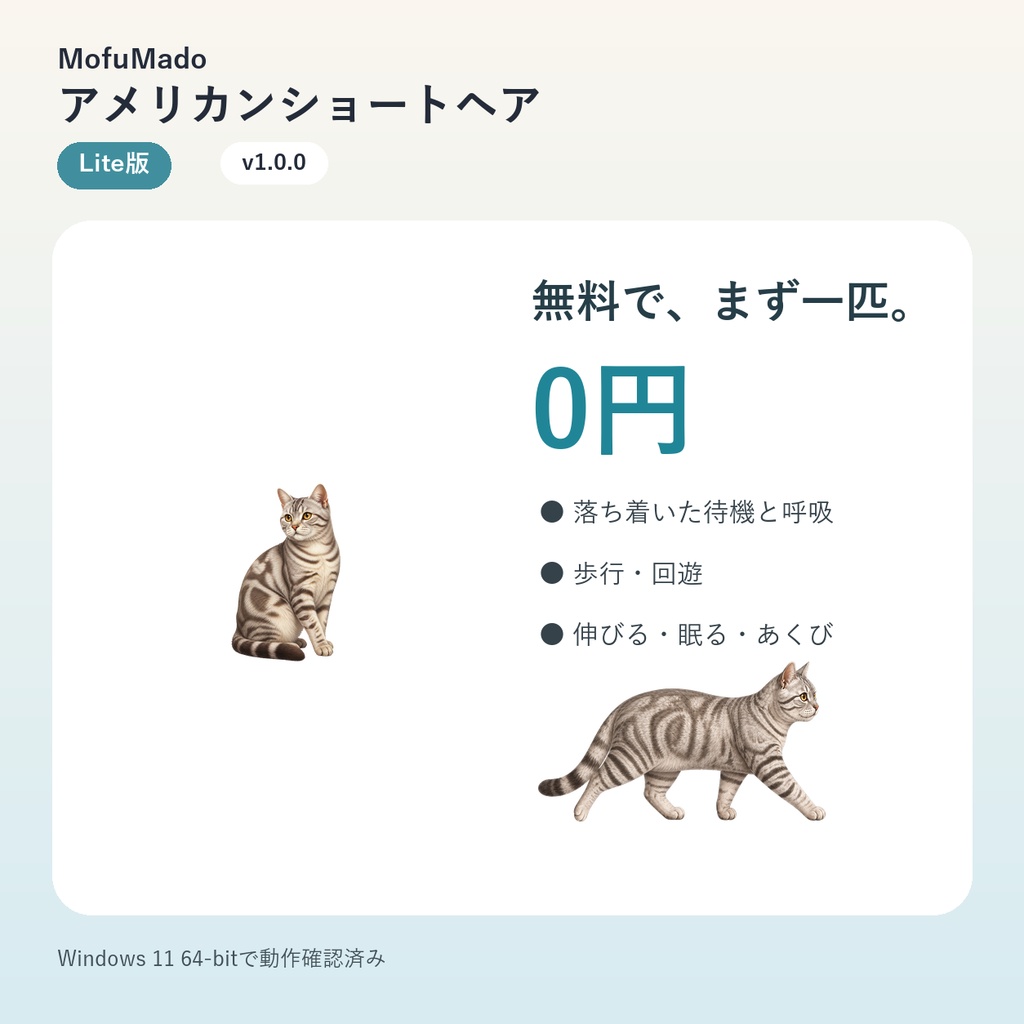 【無料・Windows】アメリカンショートヘア デスクトップペット Lite版|MofuMado