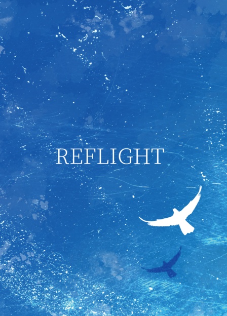 REFLIGHT