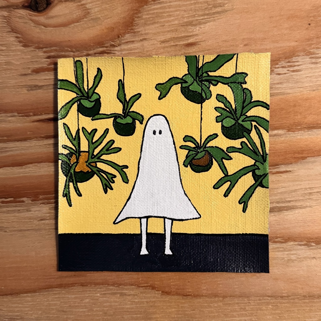 コドとビカクシダ