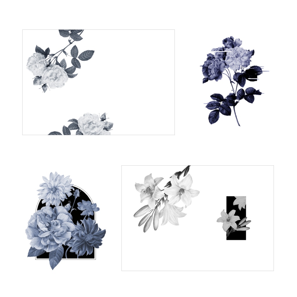 MONOCHROME—Flower—