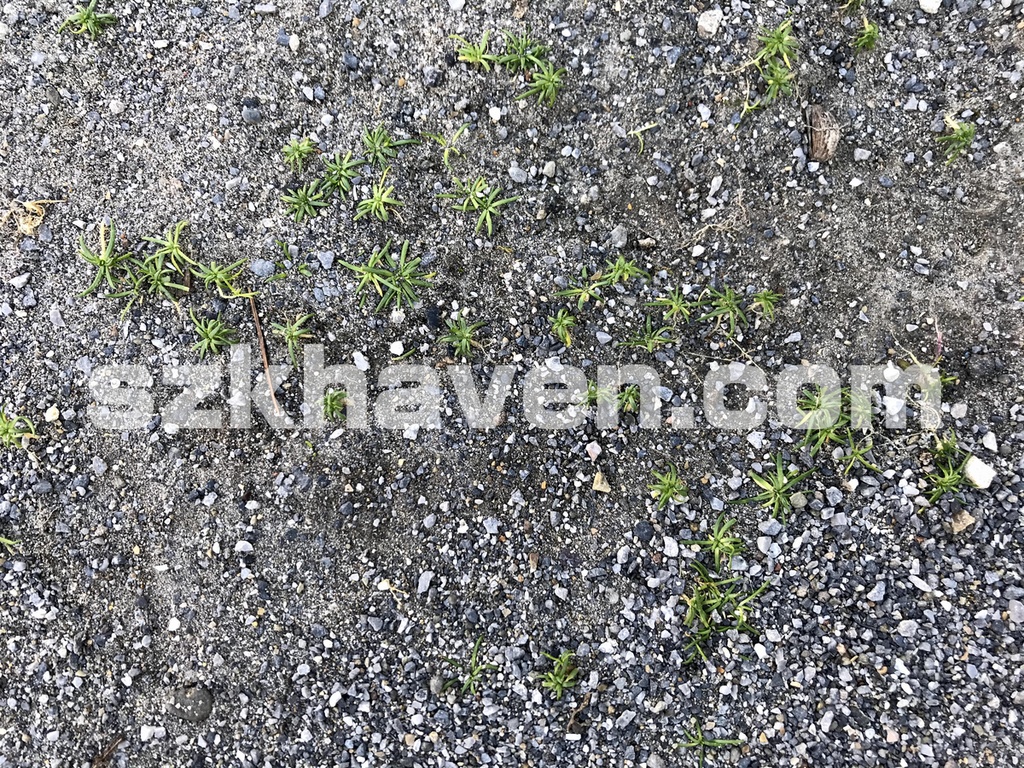 【Free有】砂02【texture/テクスチャ】