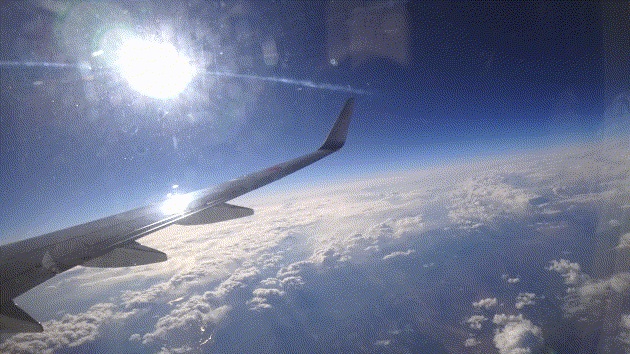 【Free有】雲の上から【コフォリア用背景/APNG】