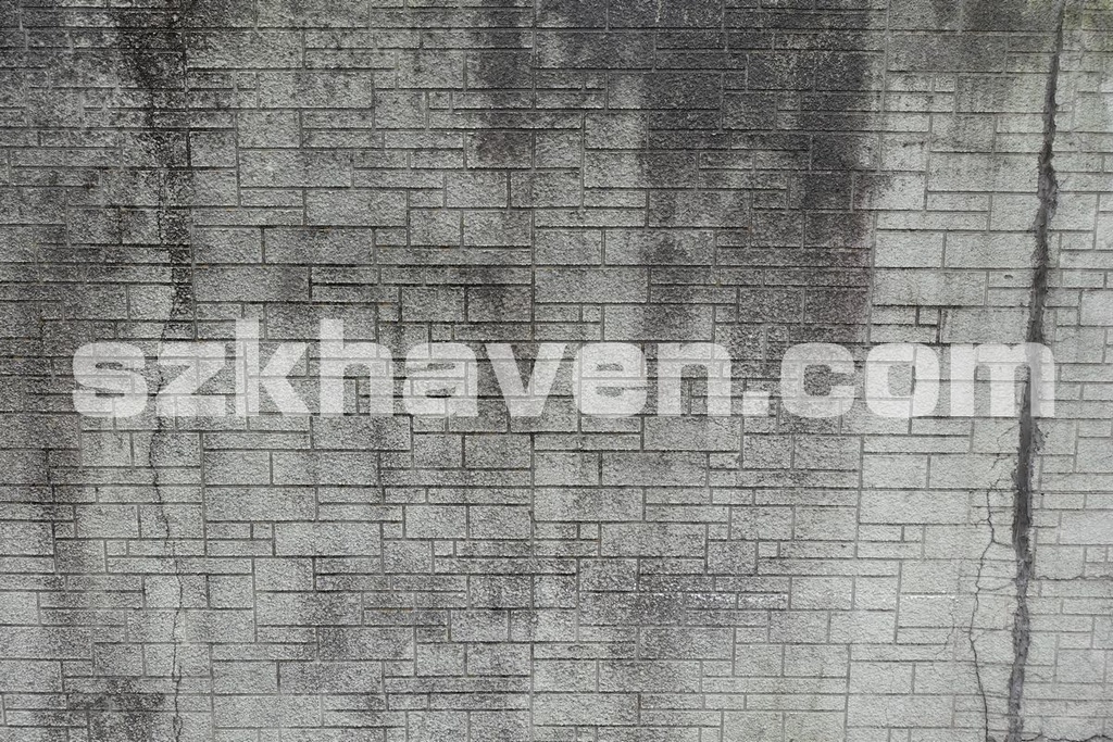 【Free有】劣化した壁【texture/テクスチャ】