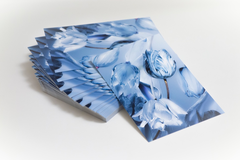 ポストカード5枚セット