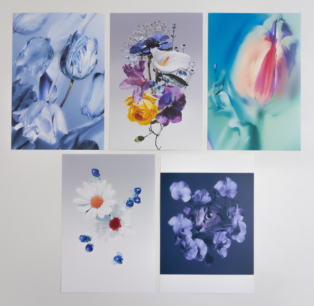 ポストカード5枚セット