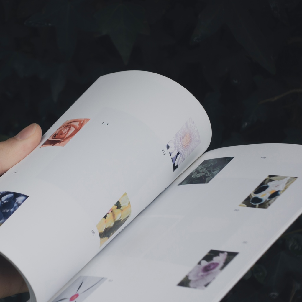 ZINE『知らない草探しの会』