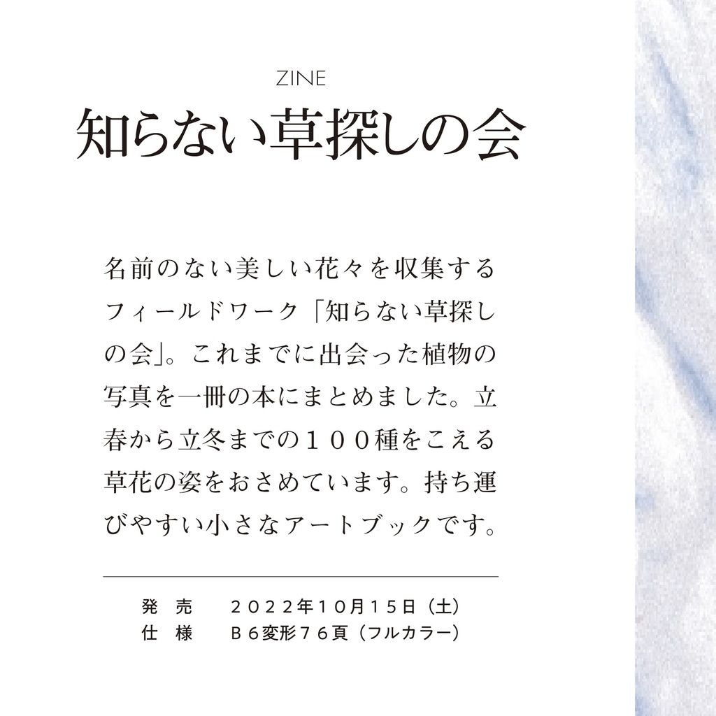 ZINE『知らない草探しの会』