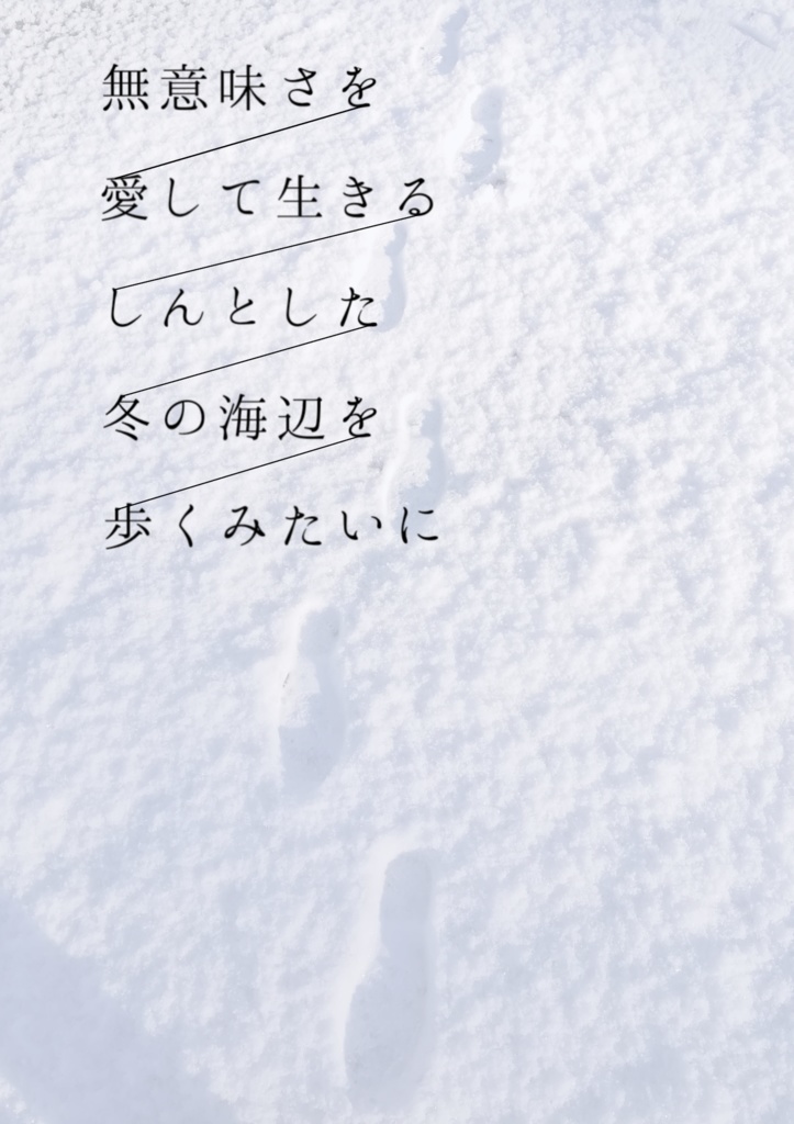 無意味さを愛して生きるしんとした冬の海辺を歩くみたいに
