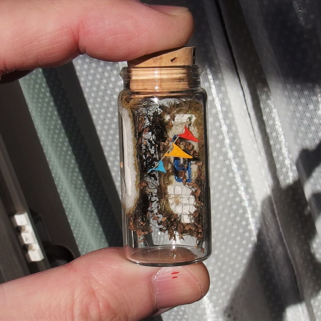 2017 窓辺（旗渡し）