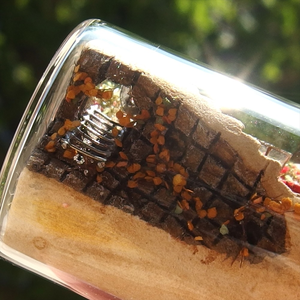 20230422 パン屋の瓶詰 店名「エポパテパン」