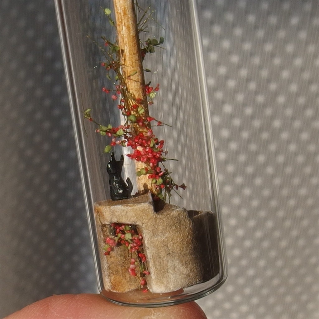 20230520 猫と街灯