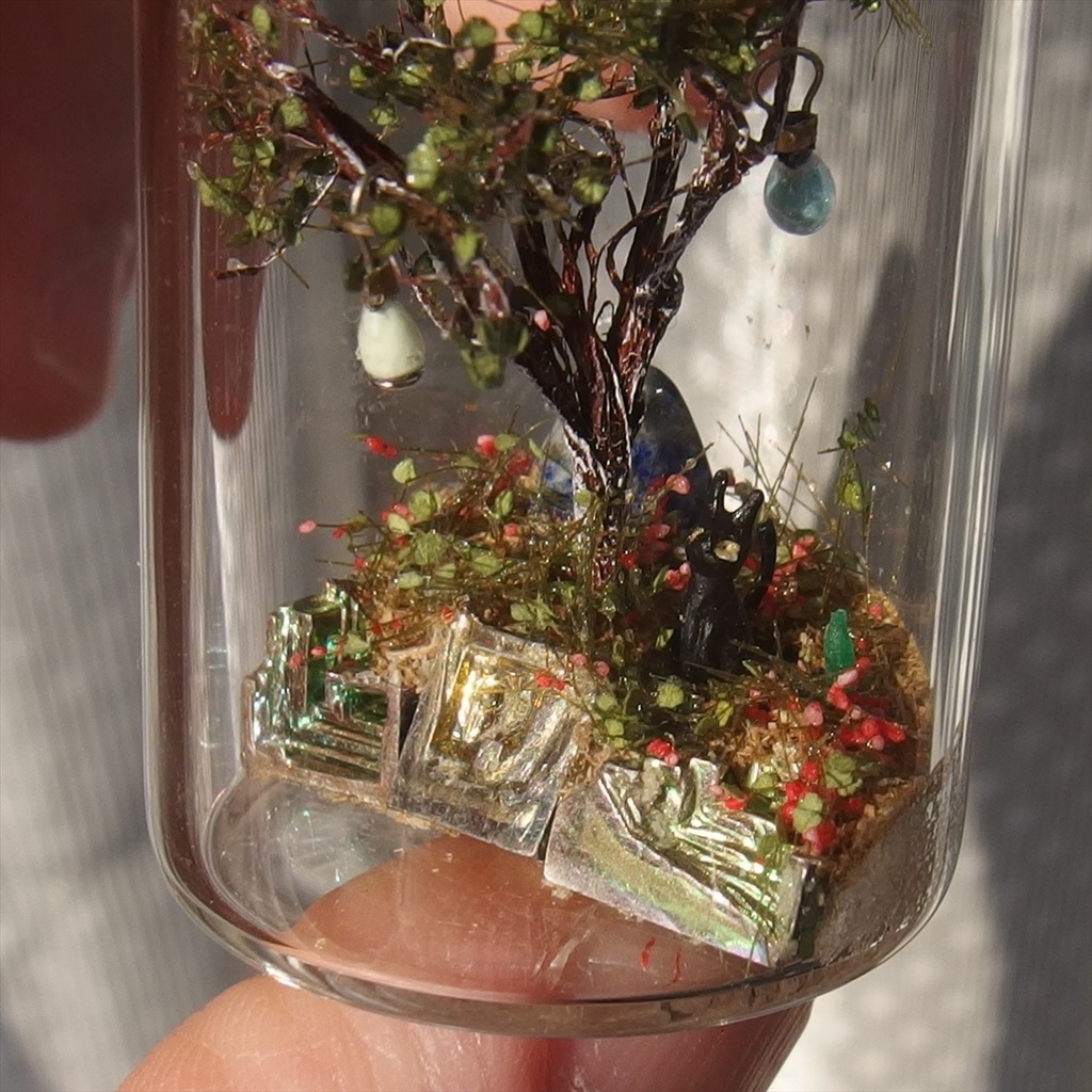 20230520 猫と樹木①