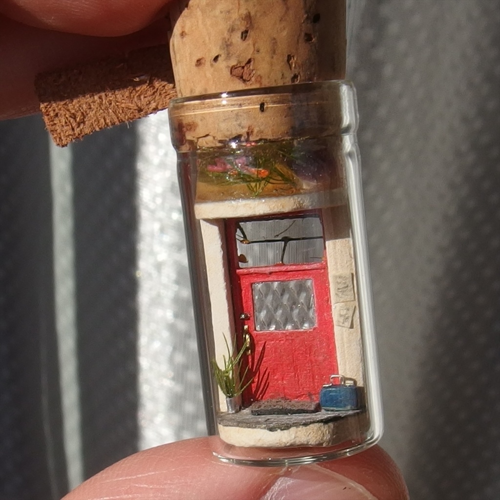 20240519 猫と玄関②