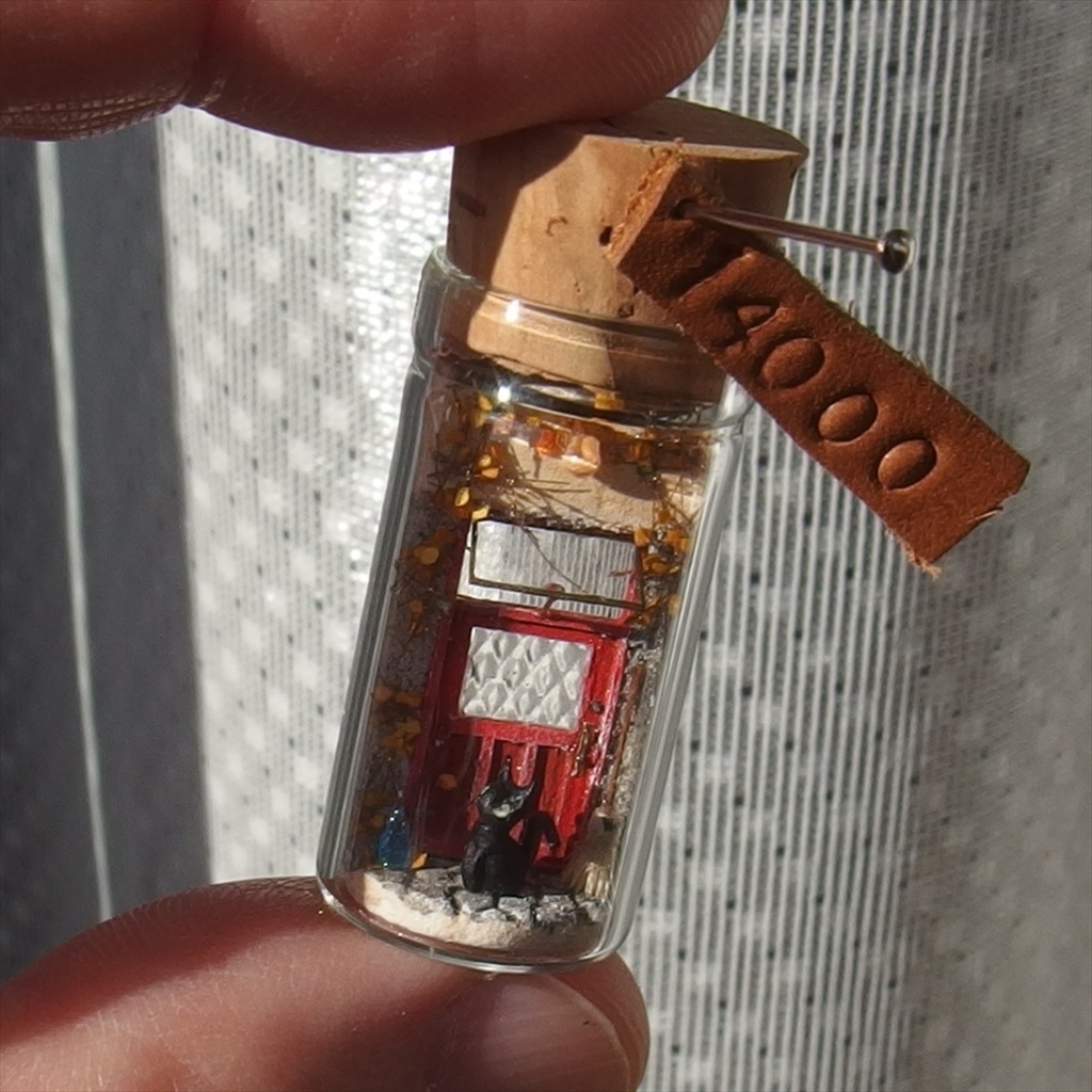 20240519 猫と玄関②